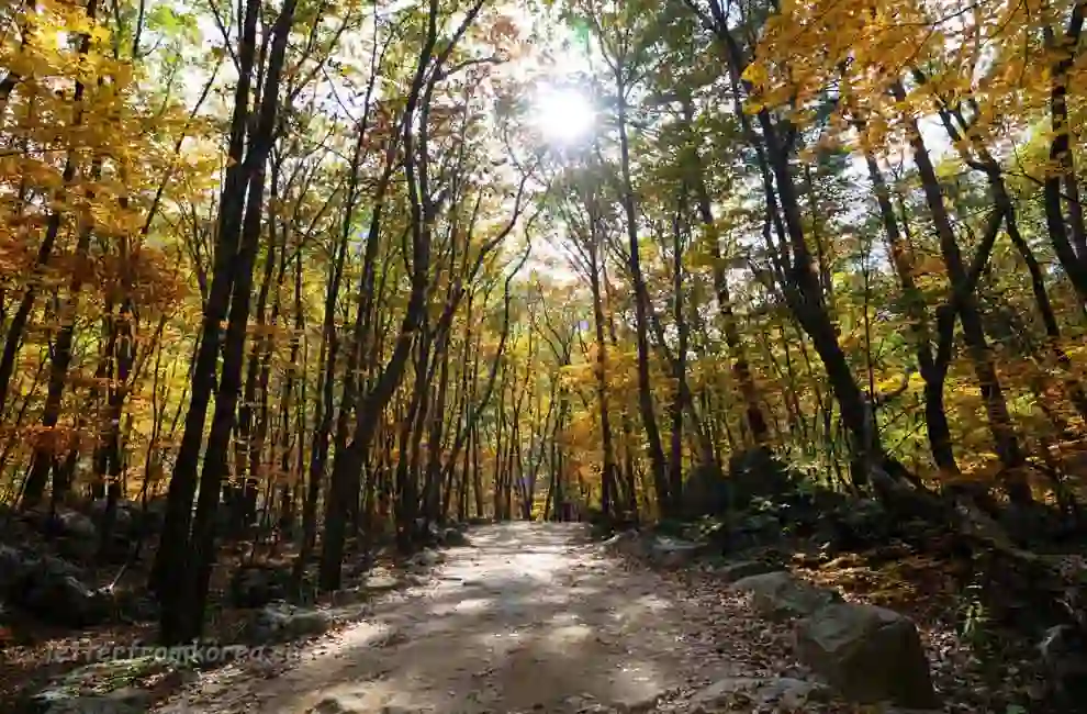 Hiking from Biseondae
