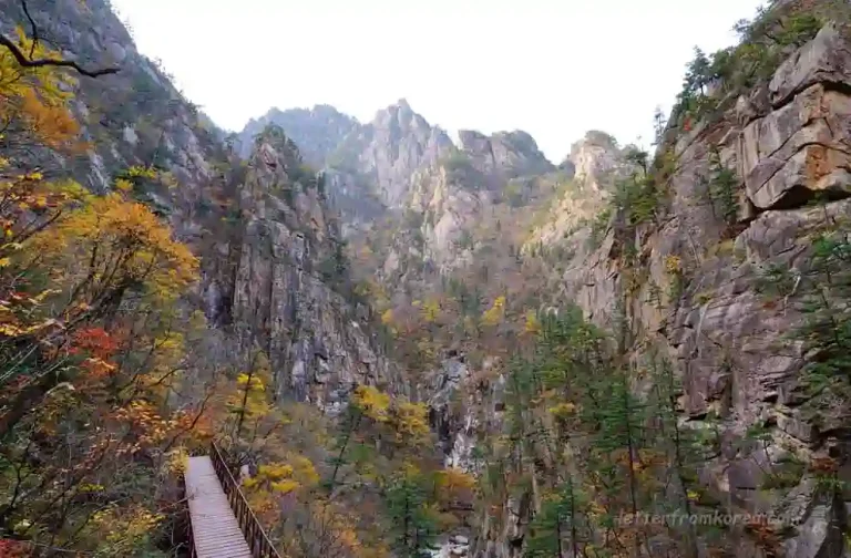 Autumn foliage along Cheonbuldong Valley in Seoraksan