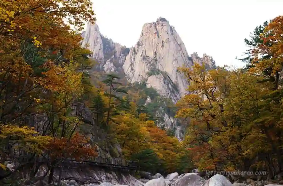 Autumn foliage along Cheonbuldong Valley in Seoraksan