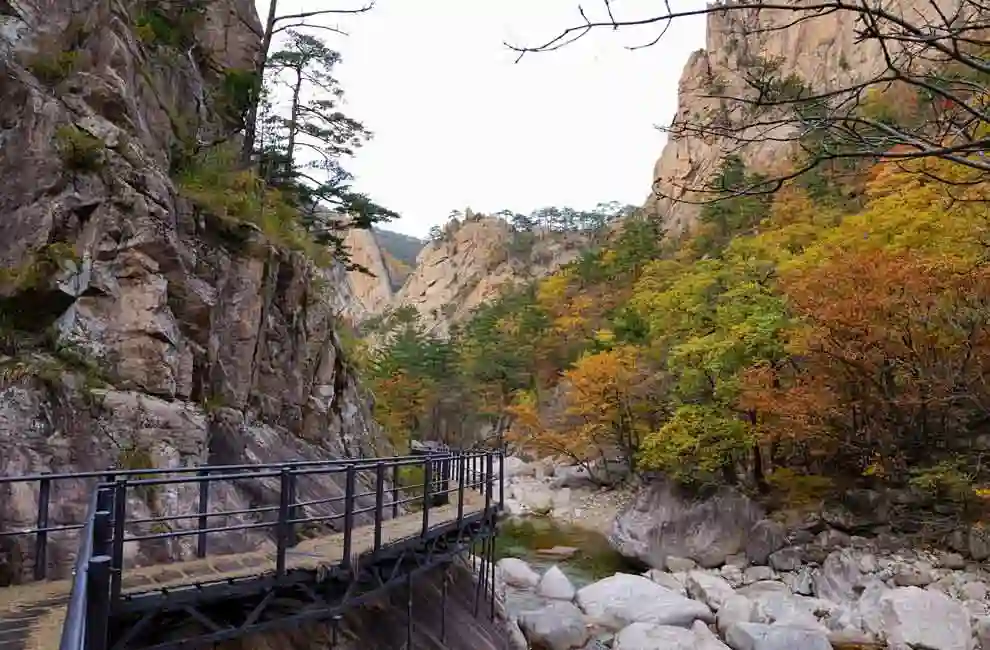 Autumn foliage along Cheonbuldong Valley in Seoraksan