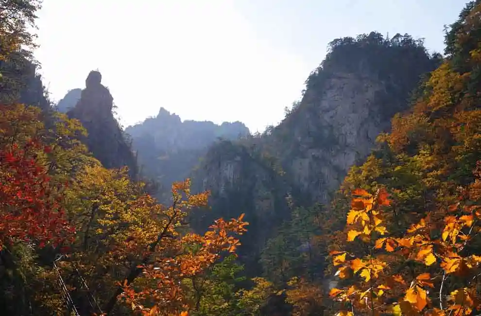 Seoraksan Autumn Foliage