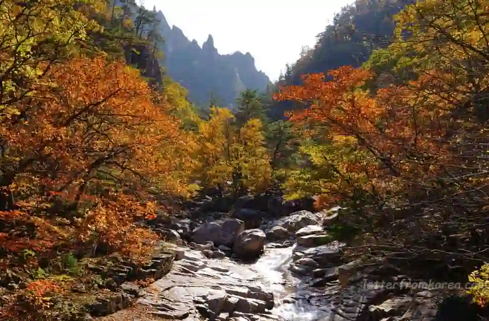 Seoraksan Autumn Foliage