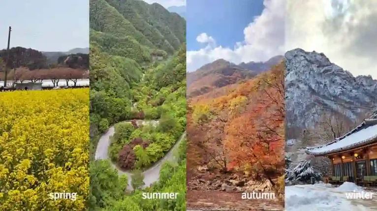 The Four Seasons of Korea