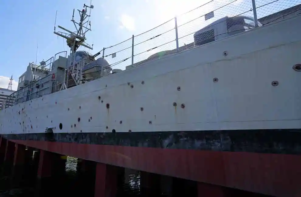 the Patrol Killer Medium 357